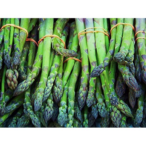 Memory and Brain Health - Asparagus Young Shoots Extract 600 MG -...