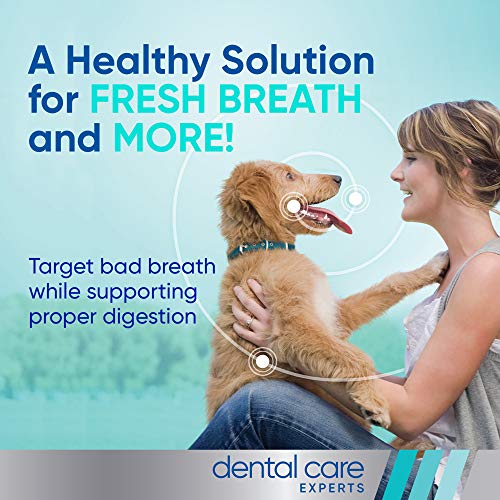 Virbac CET VEGGIEDENT FR3SH Tartar Control Chews for Dogs