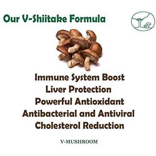Medicinal Mushroom v-Shiitake Organic Powder Extract | Natural Su...