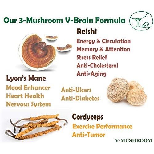 Medicinal Mushrooms v-Brain Supplement Powder | Organic Nootropic...