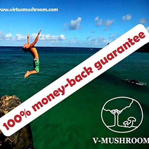 Medicinal Mushrooms v-Brain Supplement Powder | Organic Nootropic...