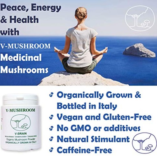 Medicinal Mushrooms v-Brain Supplement Powder | Organic Nootropic...