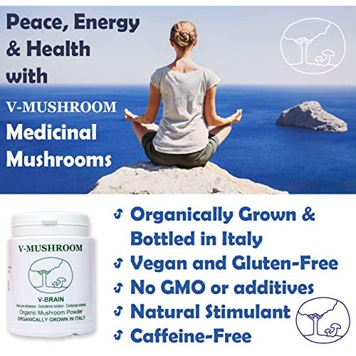 Medicinal Mushrooms v-Brain Supplement Powder | Organic Nootropic...