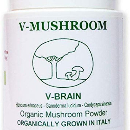 Medicinal Mushrooms v-Brain Supplement Powder | Organic Nootropic...