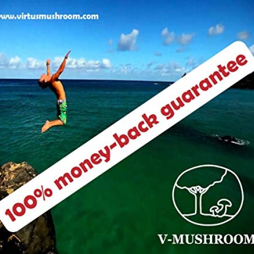 Medicinal Mushrooms v-Reishi Supplement Powder Mix | Organic, Non...