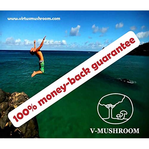 Medicinal Mushrooms v-Reishi Supplement Powder Mix | Organic, Non...