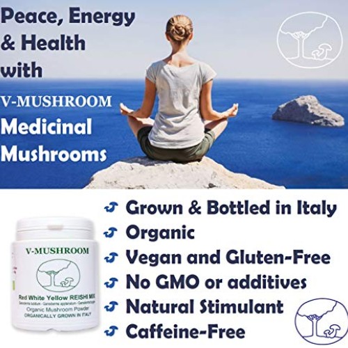 Medicinal Mushrooms v-Reishi Supplement Powder Mix | Organic, Non...