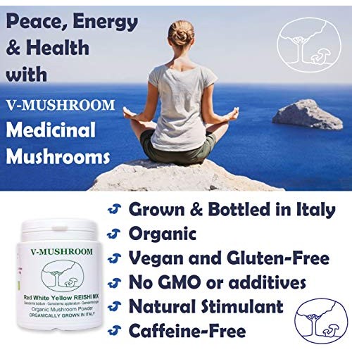 Medicinal Mushrooms v-Reishi Supplement Powder Mix | Organic, Non...