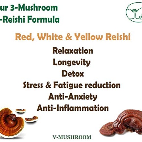 Medicinal Mushrooms v-Reishi Supplement Powder Mix | Organic, Non...