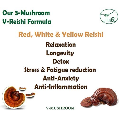 Medicinal Mushrooms v-Reishi Supplement Powder Mix | Organic, Non...