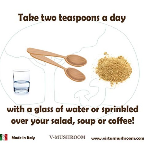 Medicinal Mushrooms v-Reishi Supplement Powder Mix | Organic, Non...