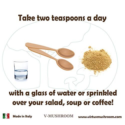 Medicinal Mushrooms v-Reishi Supplement Powder Mix | Organic, Non...