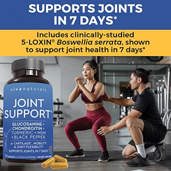 Glucosamine Chondroitin MSM Joint Supplement - with Turmeric, Bla...