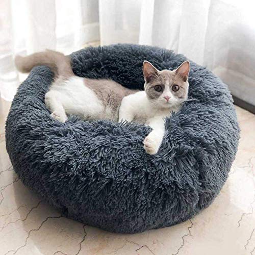 Vivi Bear Cat Bed Dog Bed Round pet nest Extra Soft Comfortable C...