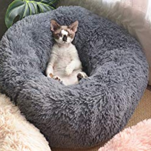 Vivi Bear Cat Bed Dog Bed Round pet nest Extra Soft Comfortable C...
