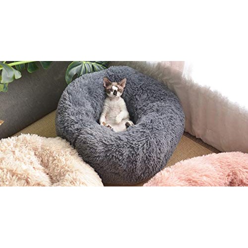 Vivi Bear Cat Bed Dog Bed Round pet nest Extra Soft Comfortable C...