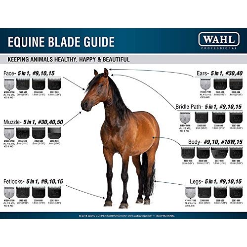 Wahl Professional Animal Arco Equine Horse Cordless Clipper Kit ...