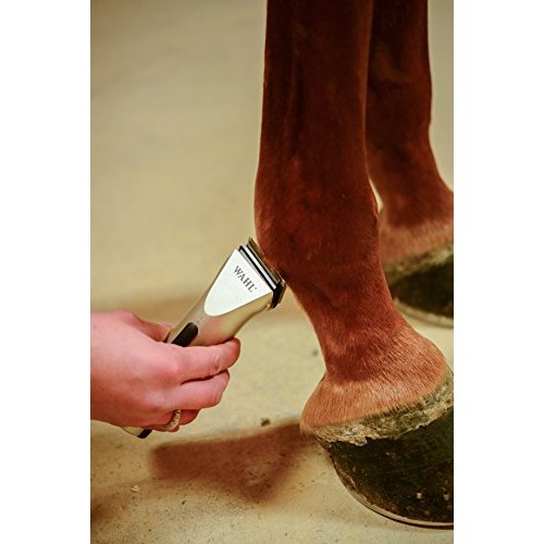 Wahl Professional Animal Arco Equine Horse Cordless Clipper Kit ...