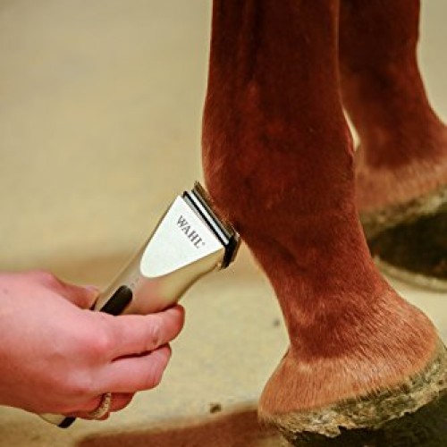 Wahl Professional Animal Arco Equine Horse Cordless Clipper Kit ...