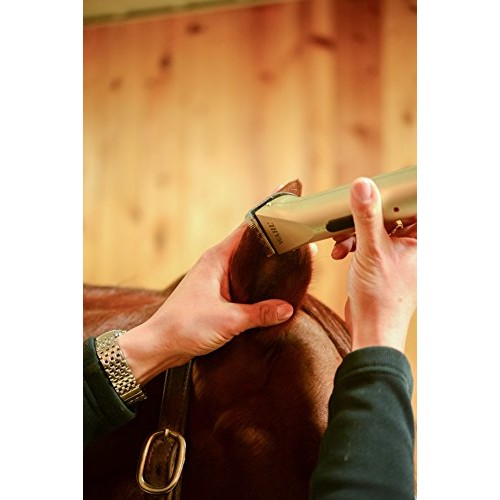 Wahl Professional Animal Arco Equine Horse Cordless Clipper Kit ...