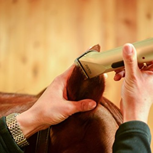 Wahl Professional Animal Arco Equine Horse Cordless Clipper Kit ...