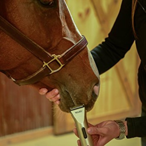 Wahl Professional Animal Arco Equine Horse Cordless Clipper Kit ...