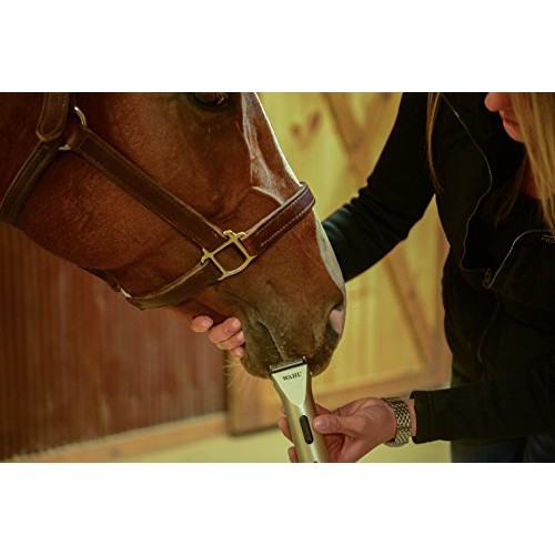 Wahl Professional Animal Arco Equine Horse Cordless Clipper Kit ...