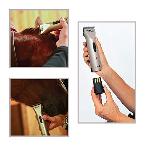 Wahl Professional Animal Arco Equine Horse Cordless Clipper Kit ...