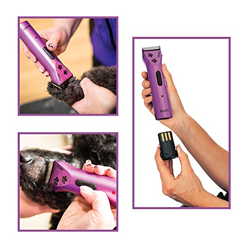 Wahl Professional Animal Arco Pet, Dog, Cat, and Horse Cordless C...