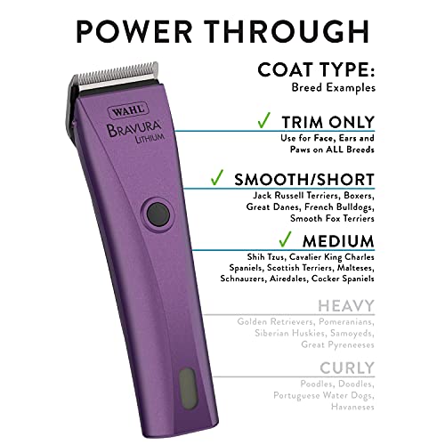 Wahl Professional Animal Bravura Pet, Dog, Cat, and Horse Corded ...