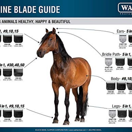 Wahl Professional Animal Chromado Lithium Pet, Dog, Cat, & Horse ...
