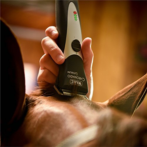 Wahl Professional Animal Chromado Lithium Pet, Dog, Cat, & Horse ...