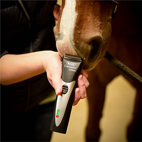 Wahl Professional Animal Chromado Lithium Pet, Dog, Cat, & Horse ...