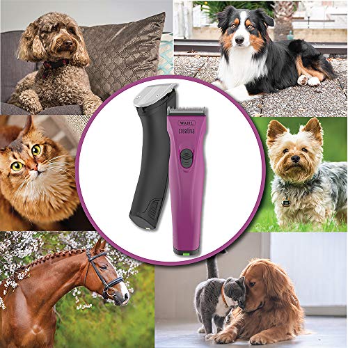 Wahl Professional Animal Creativa Cordless Dog, Cat, Pet, and Hor...