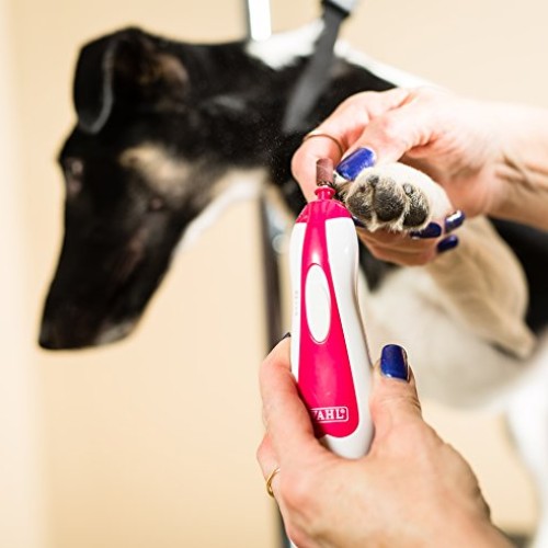 Wahl Professional Animal Pet, Dog, and Cat Premium Nail Grinder T...