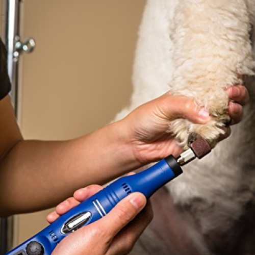 Wahl Professional Animal Pet, Dog, and Cat Ultimate Nail Grinder ...
