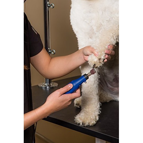 Wahl Professional Animal Pet, Dog, and Cat Ultimate Nail Grinder ...