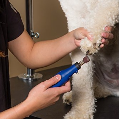 Wahl Professional Animal Pet, Dog, and Cat Ultimate Nail Grinder ...