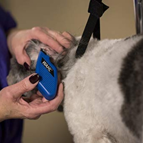 Wahl Professional Animal Pocket Pro Equine Compact Horse Trimmer ...