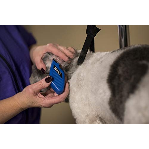 Wahl Professional Animal Pocket Pro Equine Compact Horse Trimmer ...