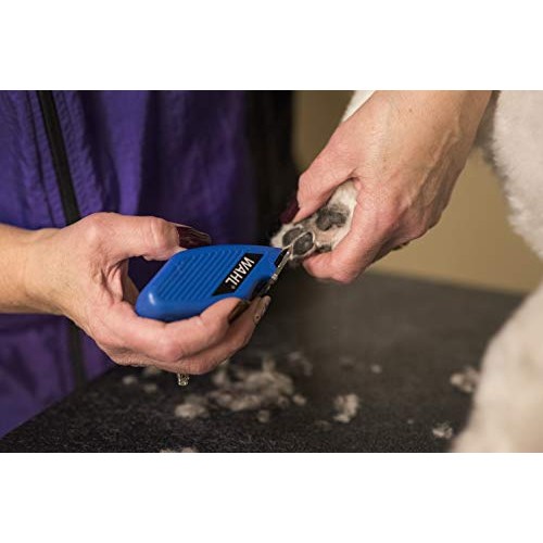 Wahl Professional Animal Pocket Pro Equine Compact Horse Trimmer ...