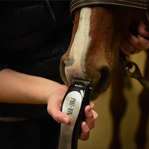 Wahl Professional Animal Pro Ion Equine Cordless Horse Clipper an...