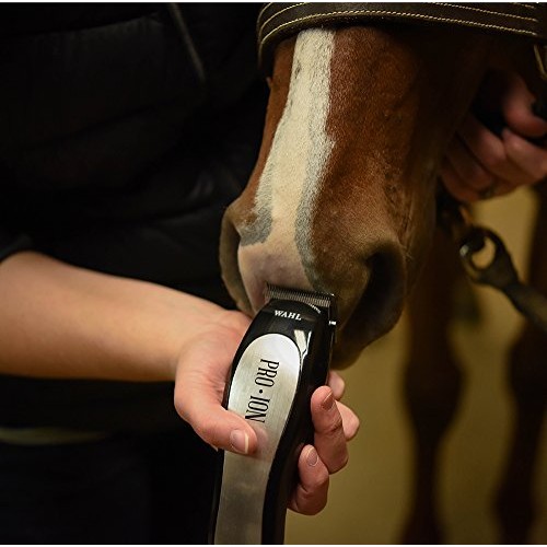 Wahl Professional Animal Pro Ion Equine Cordless Horse Clipper an...