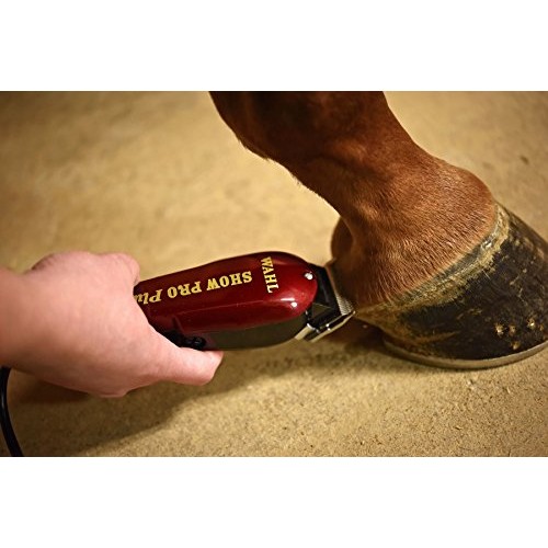 Wahl Professional Animal Show Pro Plus Equine Horse Clipper and G...