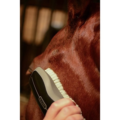 Wahl Professional Animal Show Pro Plus Equine Horse Clipper and G...