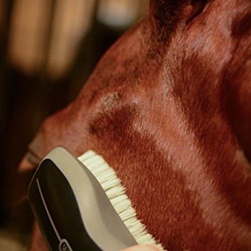 Wahl Professional Animal Show Pro Plus Equine Horse Clipper and G...