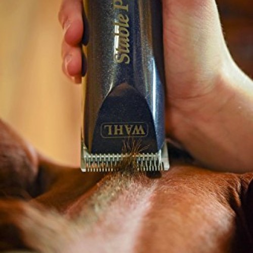 Wahl Professional Animal Stable Pro Plus Horse Clipper Kit #9774