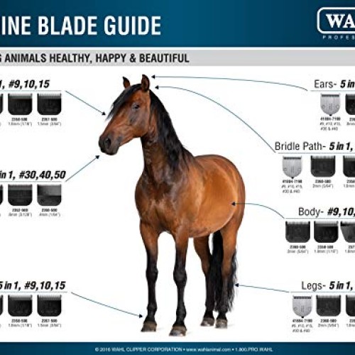 Wahl Professional Animal Stable Pro Plus Horse Clipper Kit #9774