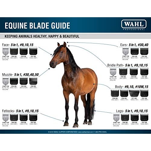 Wahl Professional Animal Stable Pro Plus Horse Clipper Kit #9774