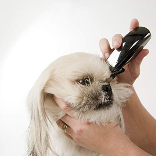 Wahl Professional Animal Super Pocket Pro Pet, Dog, & Cat Trimmer...